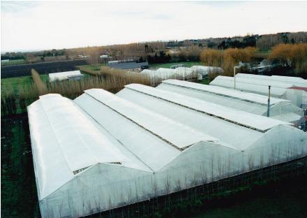 Super MaxiSpan