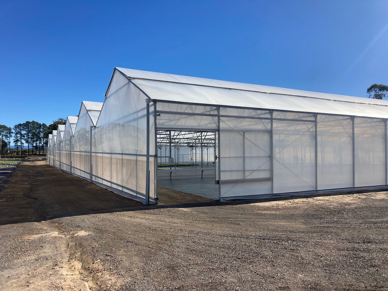 Commercial Greenhouses