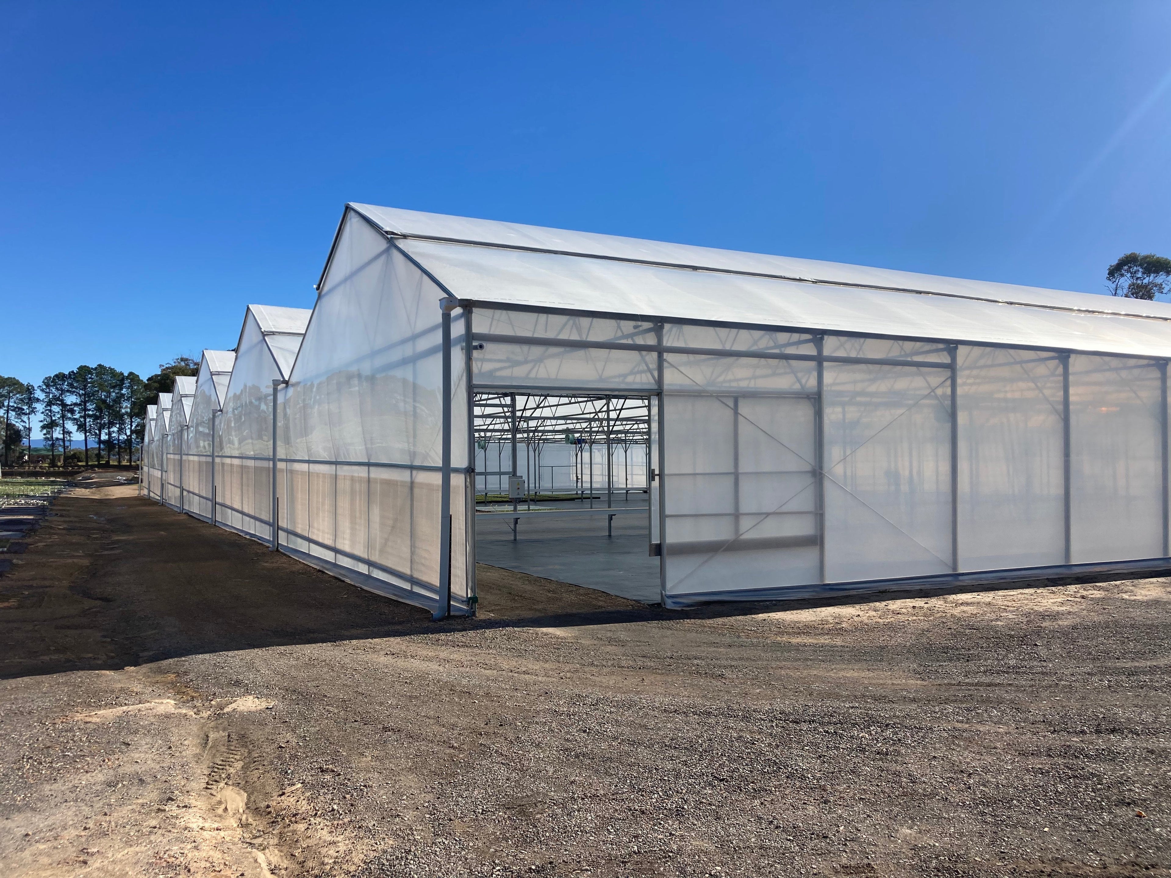 Commercial Greenhouses