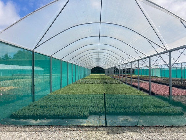 Crop Topper