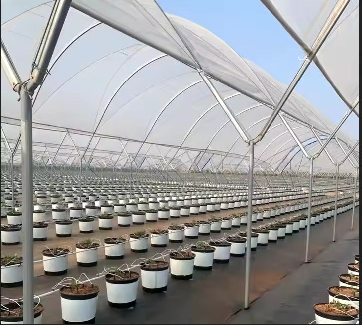 Inside a Harford Soft Fruit Cover tunnel with potted plants