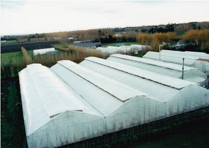 Super MaxiSpan