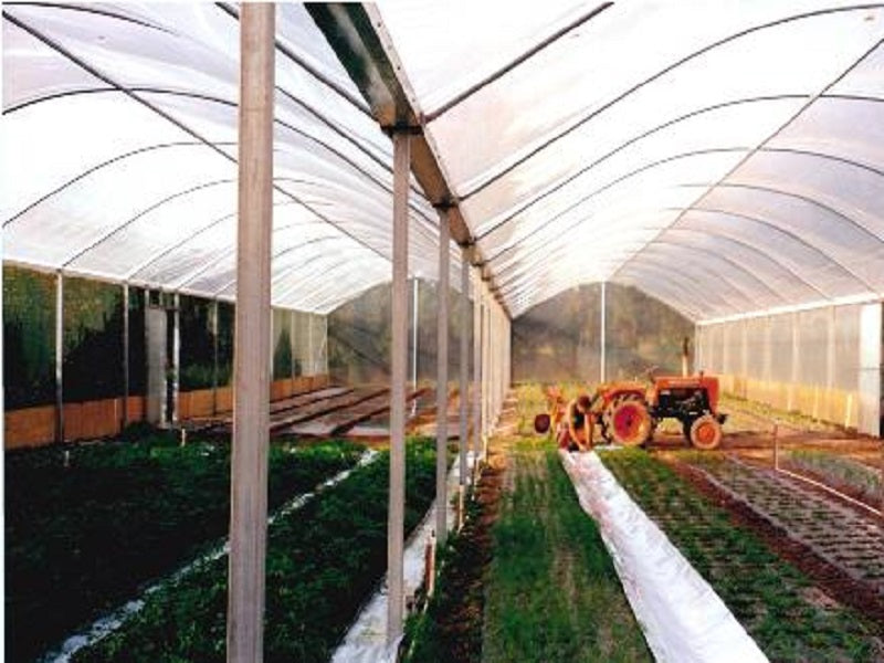 Crop Topper