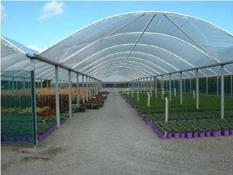 Crop Topper