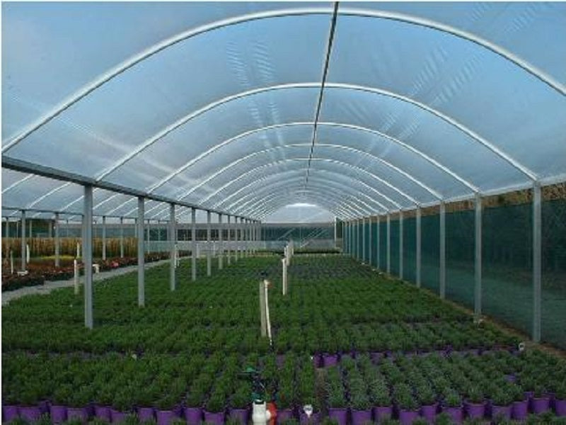 Crop Topper