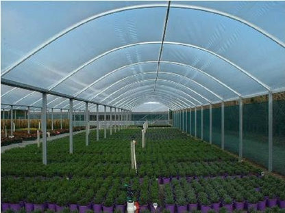 Crop Topper