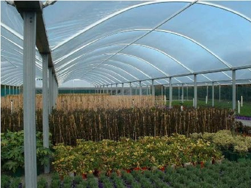 Crop Topper