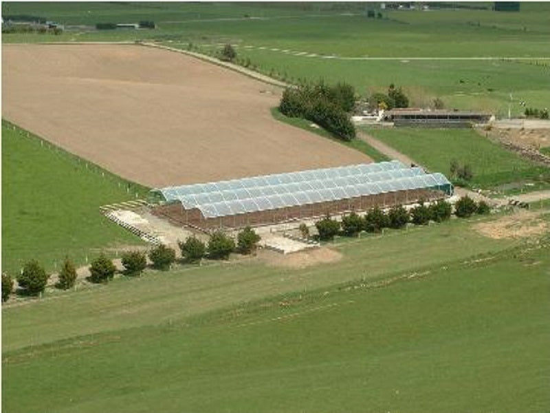 Crop Topper