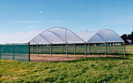 Commercial greenhouse