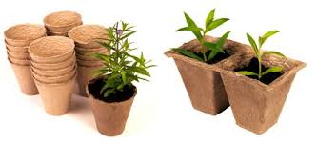 Hydroponics — Growing Accessories